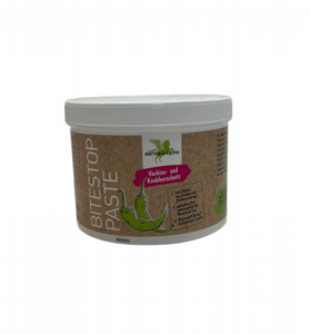 ���� ����