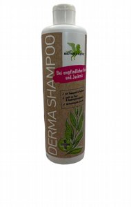 ���� ����